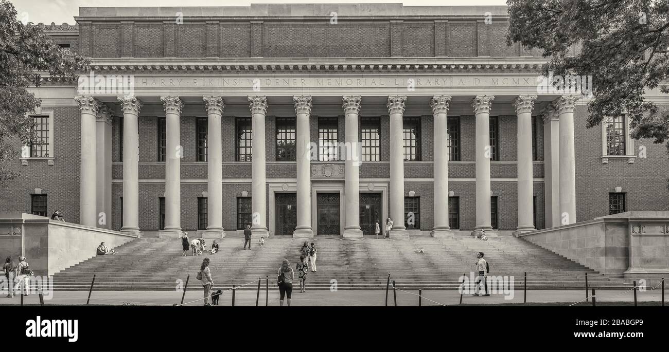 Entrance to Widner Library, Harvard University, Cambridge, , Massachusetts, USA Stock Photo