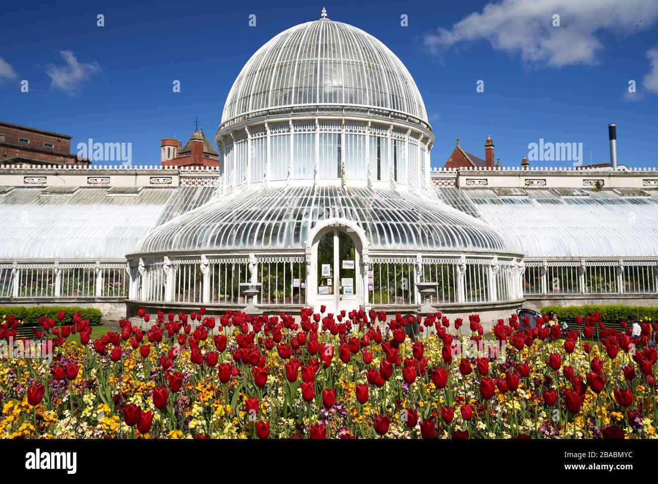 Tulips outside the Palm House in Belfast's Botanic Gardens Stock Photo