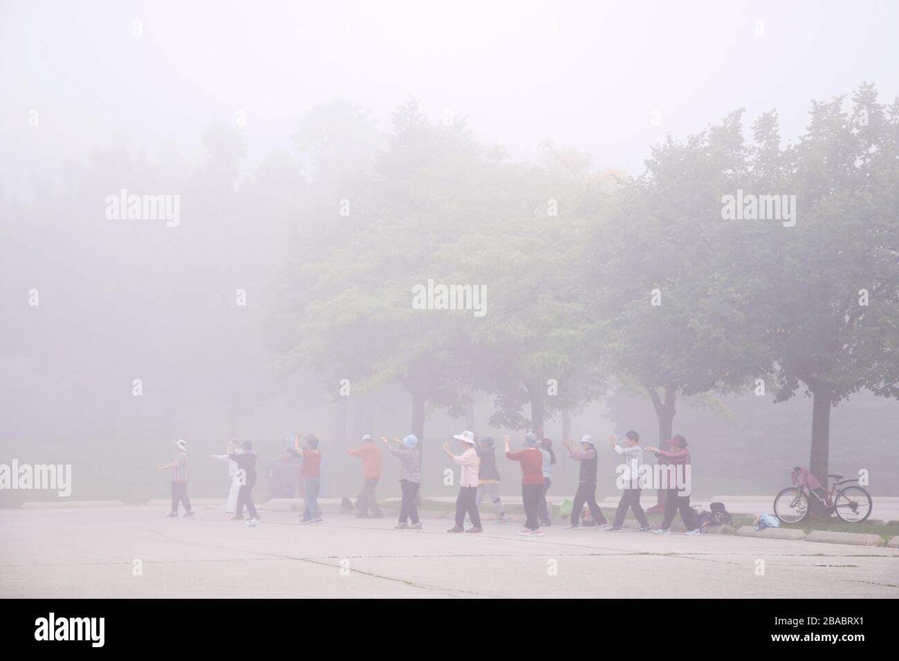 Senior adults exercising Tai Chi in the foggy morning Stock Photo