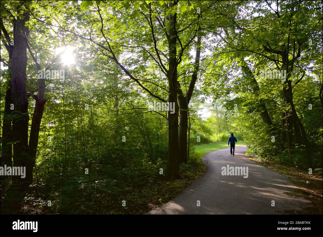 Walking in the public park - a healthy lifestyle Stock Photo