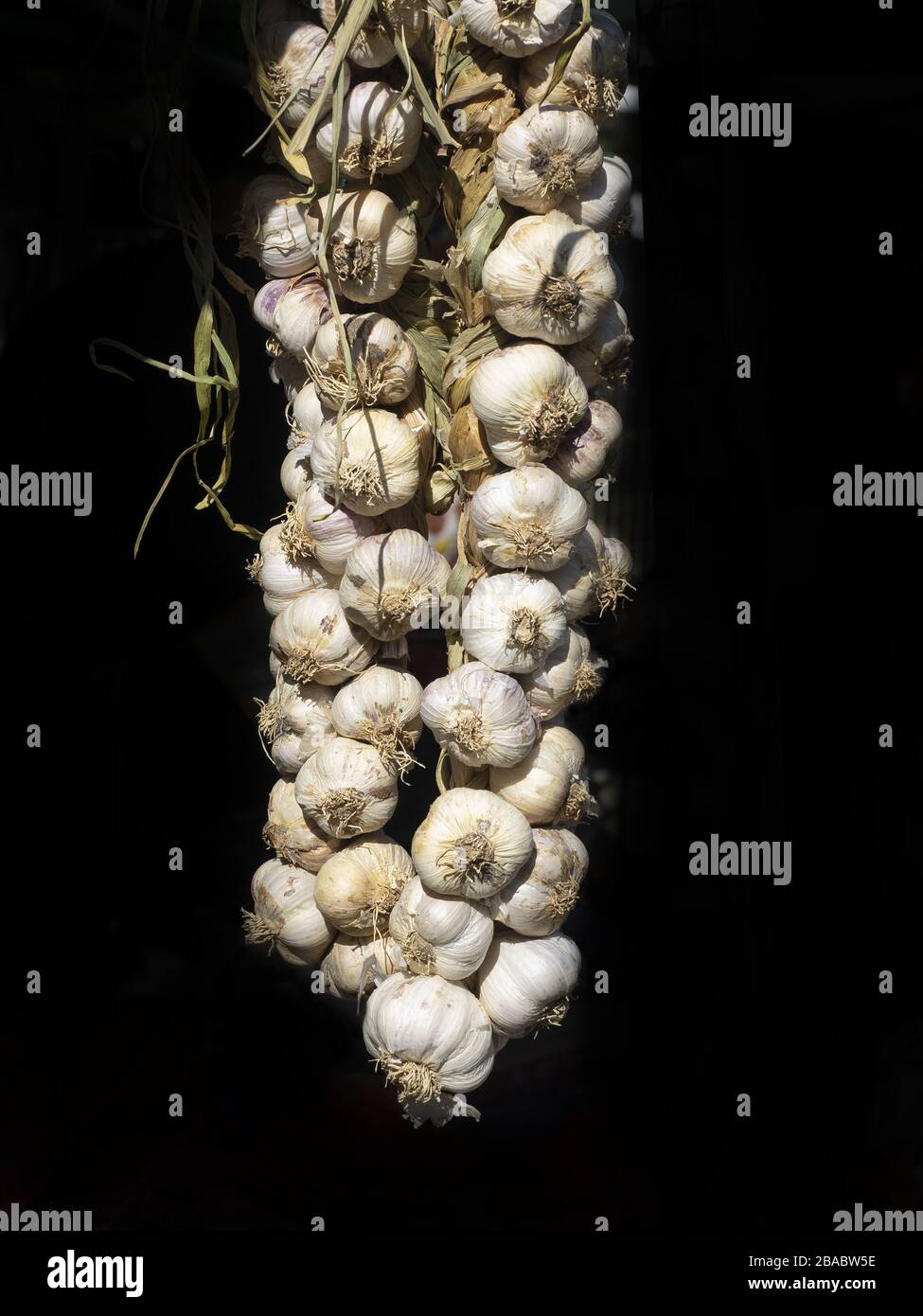 big garlic braid exposed to sunlight in a country market. Black background Stock Photo