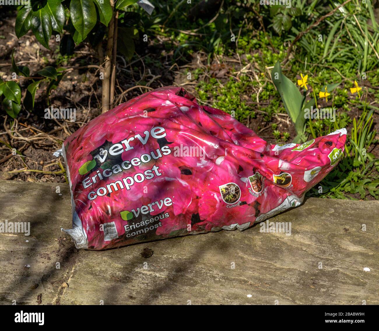 A bag of ericaceous compost next to flower bed. Stock Photo