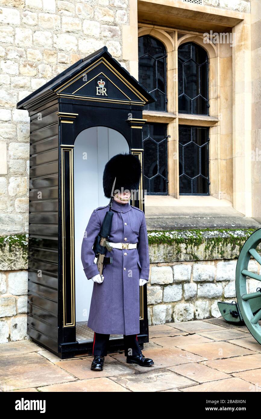 Guard in uniform wearing a bearskin cap hat, Tower of London, London, UK Stock Photo