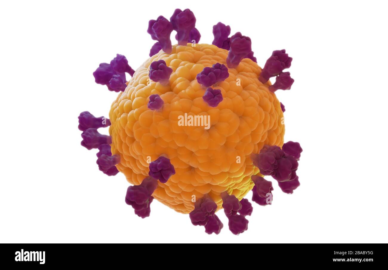 Coronavirus covid19 isolated model, 3D render on white background based on the virus microscopic images Stock Photo