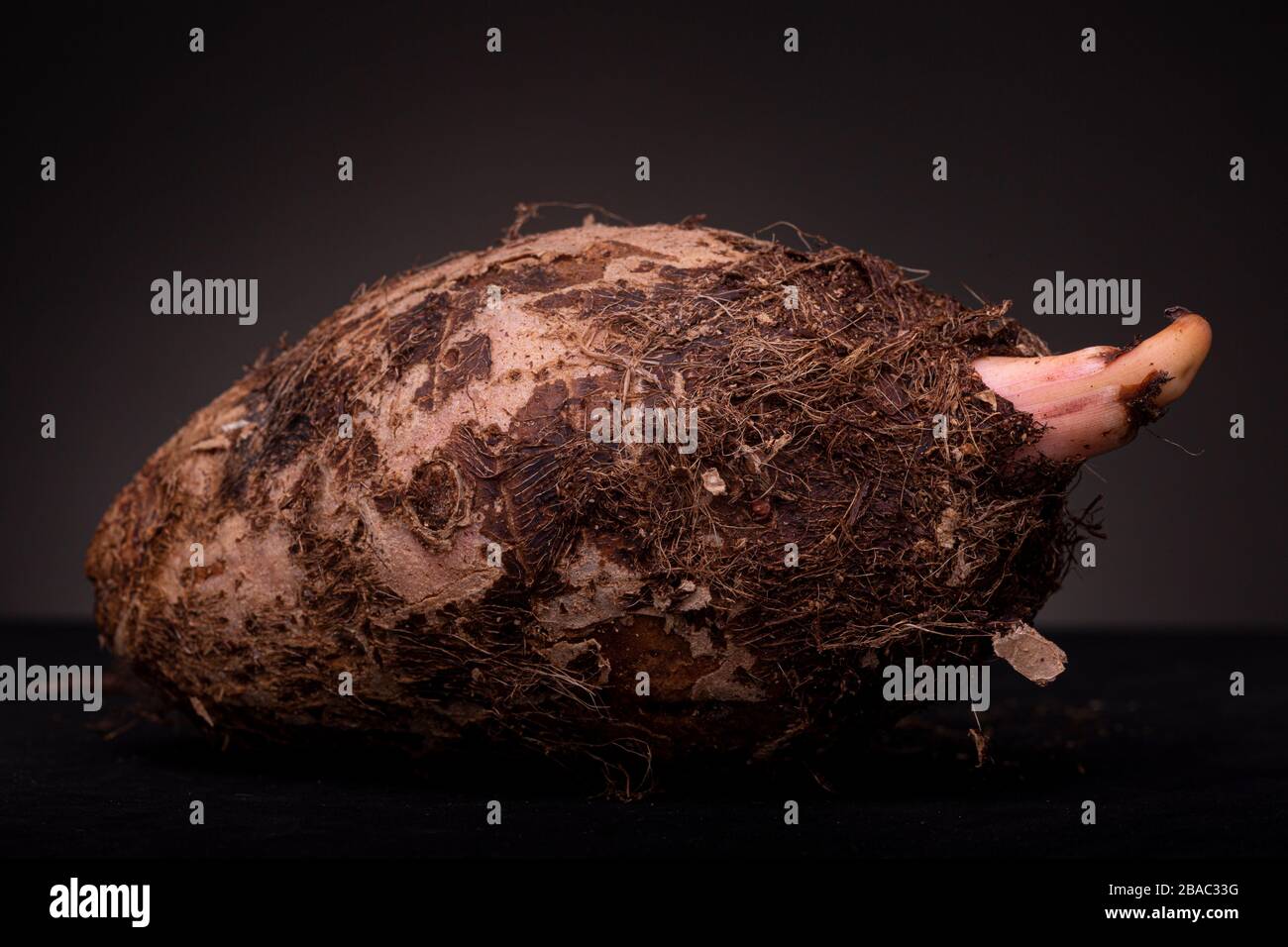 Yam vegetable hi-res stock photography and picture