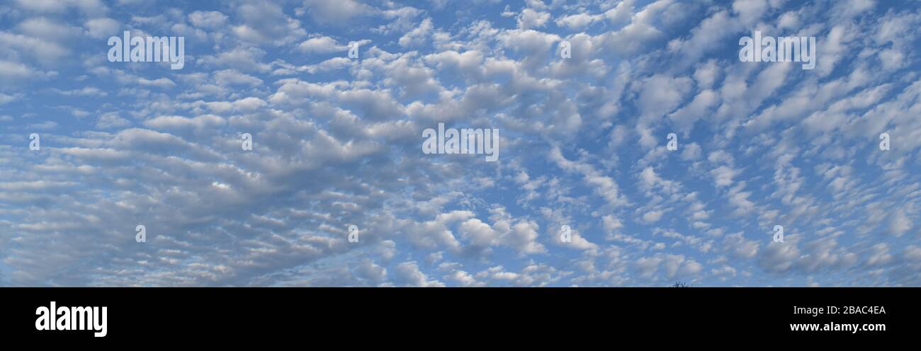Blue sky with lots small clouds. panorama picture. Stock Photo