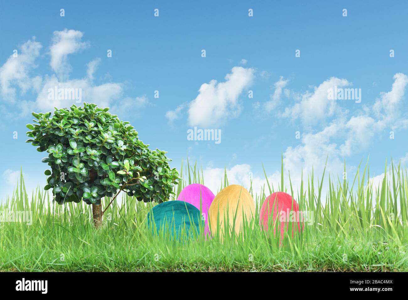 Decorated easter eggs in the grass with blue sky background Stock Photo ...
