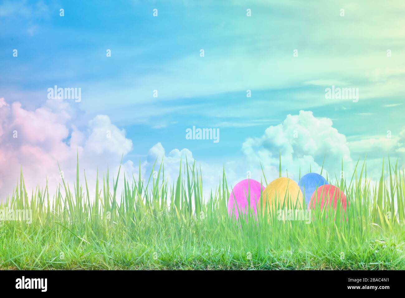 Decorated easter eggs in the grass on blue sky background Stock Photo ...