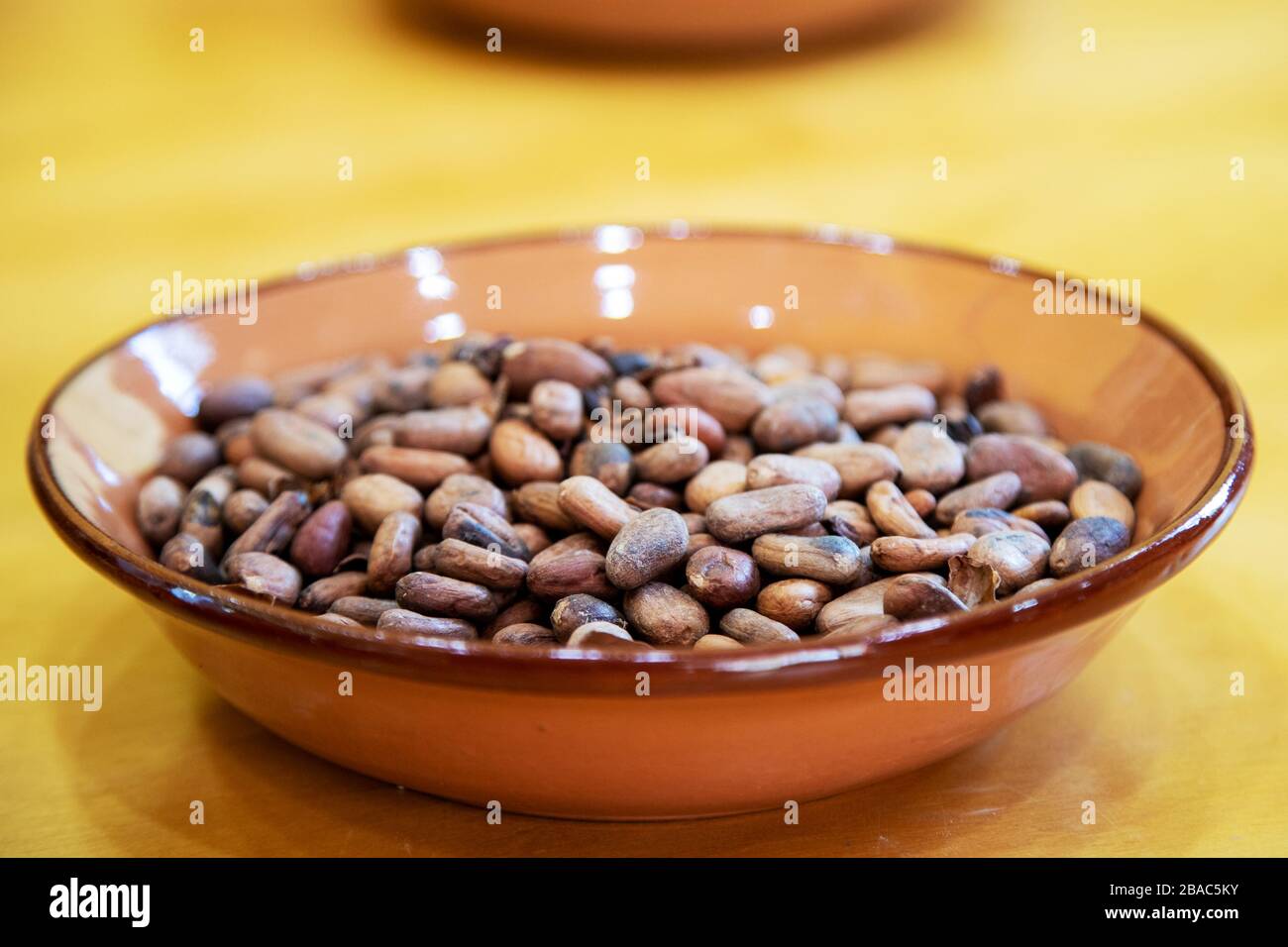 Bowl of Mexican cocoa beans, or cacao, ready to be ground into powder for making chocolate. Stock Photo