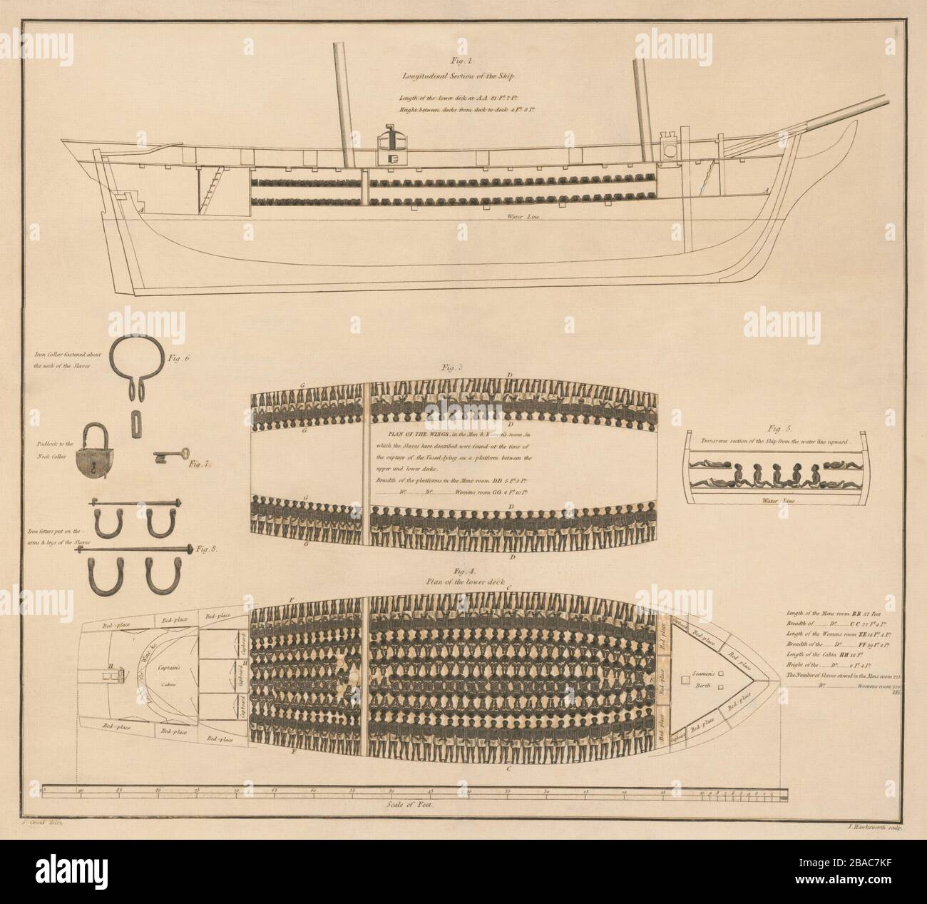Diagram of a slave ship with its cargo of African men and women
