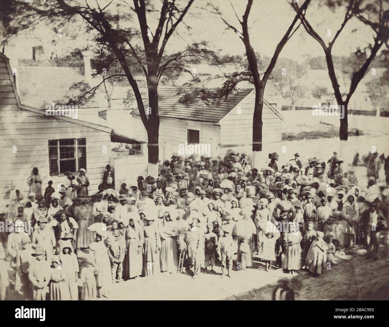 A large group of enslaved African Americans on the J. J. Smith's cotton