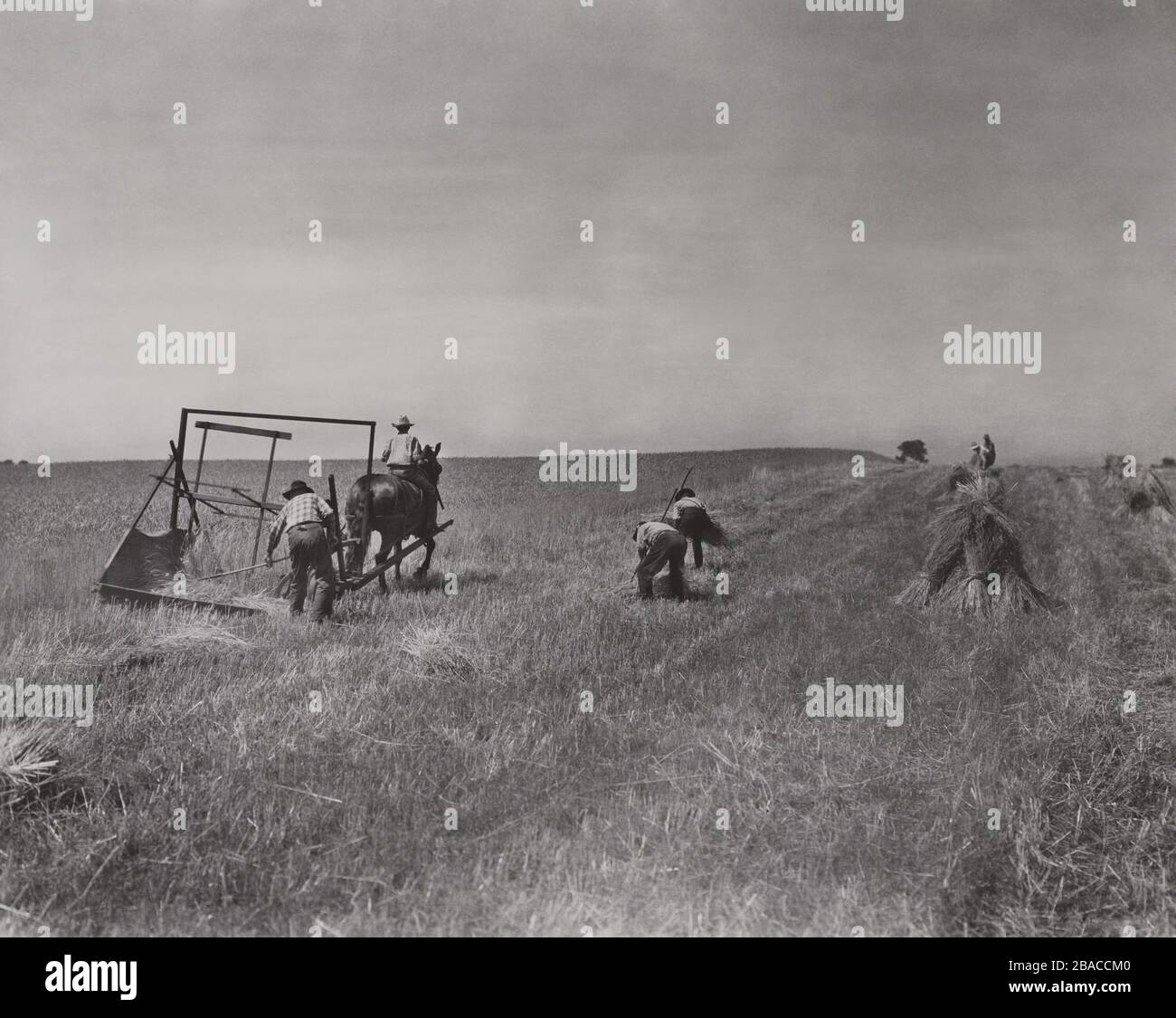 The International Harvester Company recreated this scene of farmers