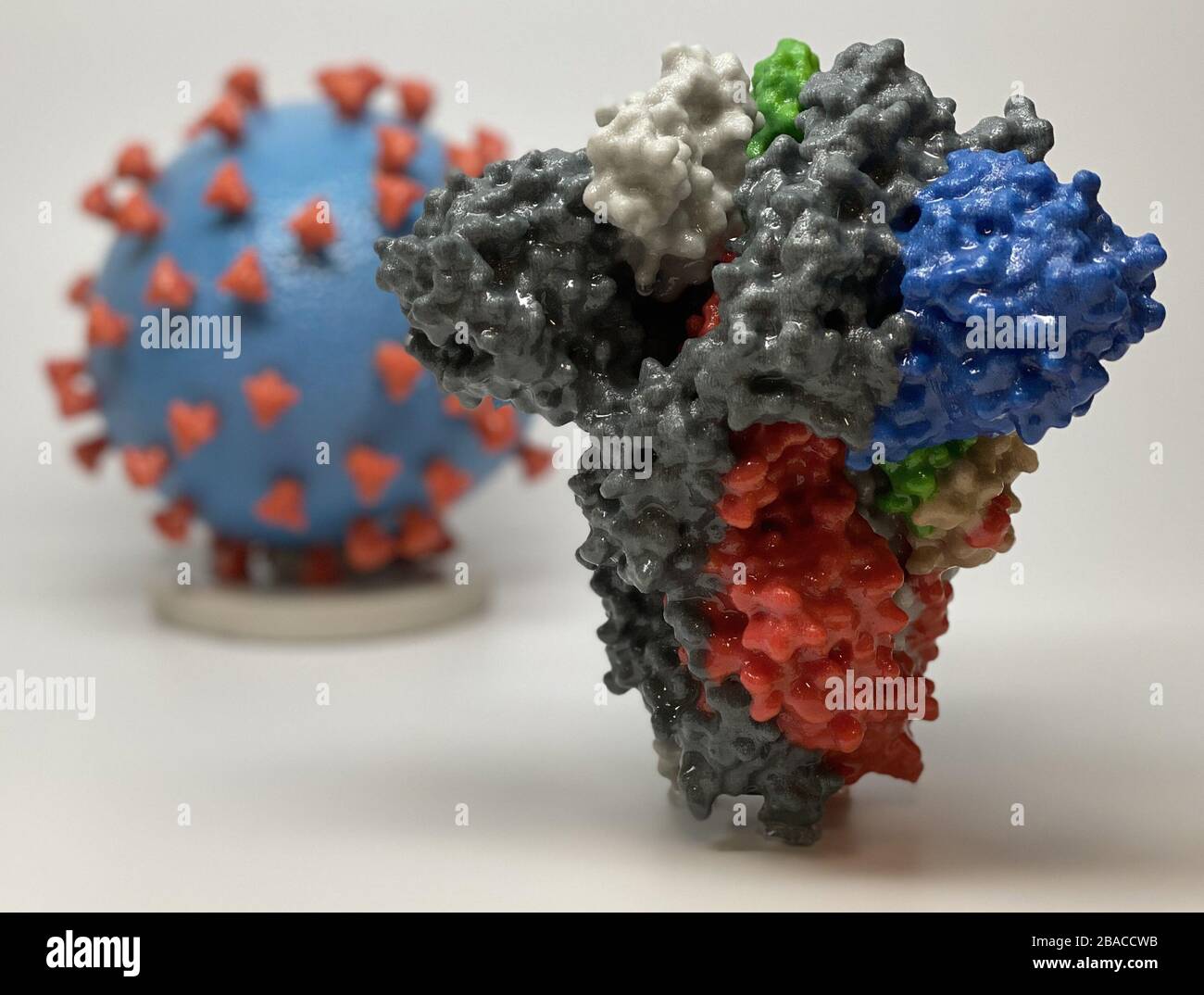 Novel Coronavirus SARS-CoV-2, causes 'coronavirus disease-2019 ...