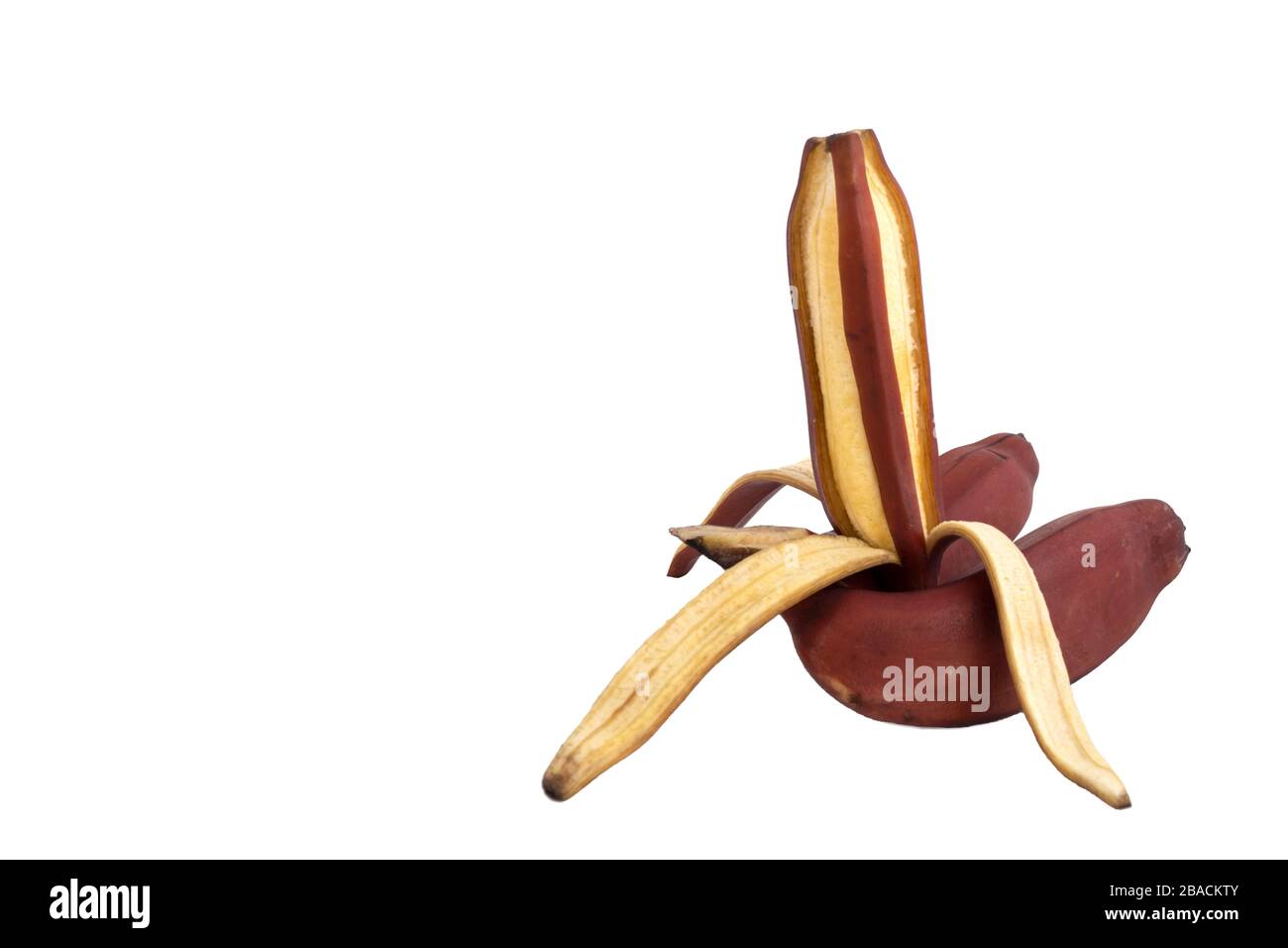 fresh red banana isolated on white background. group of varieties of