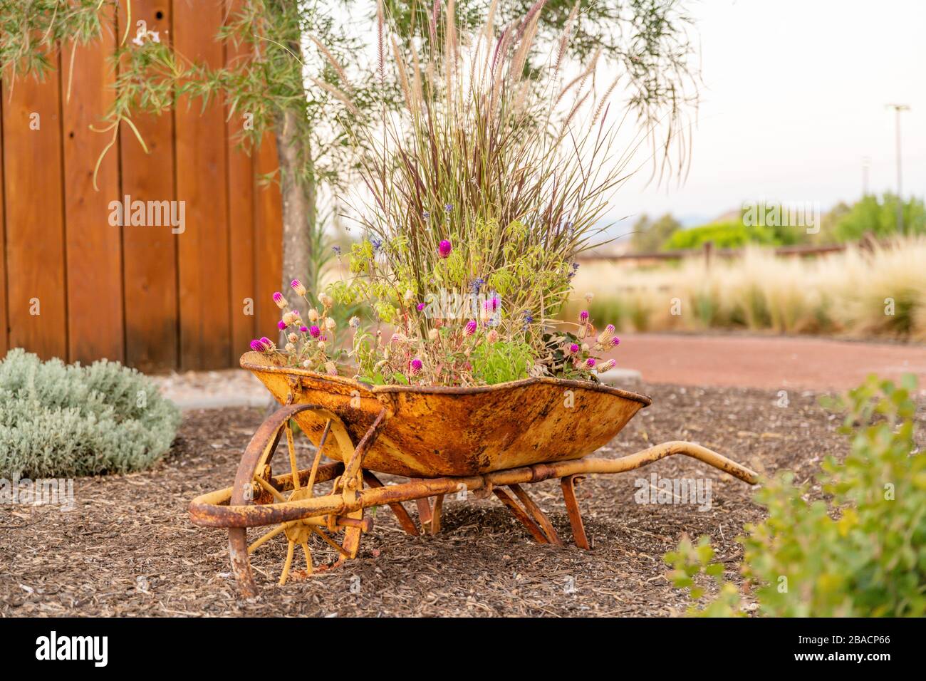 Rusty wheelbarrow in white background hi-res stock photography and ...