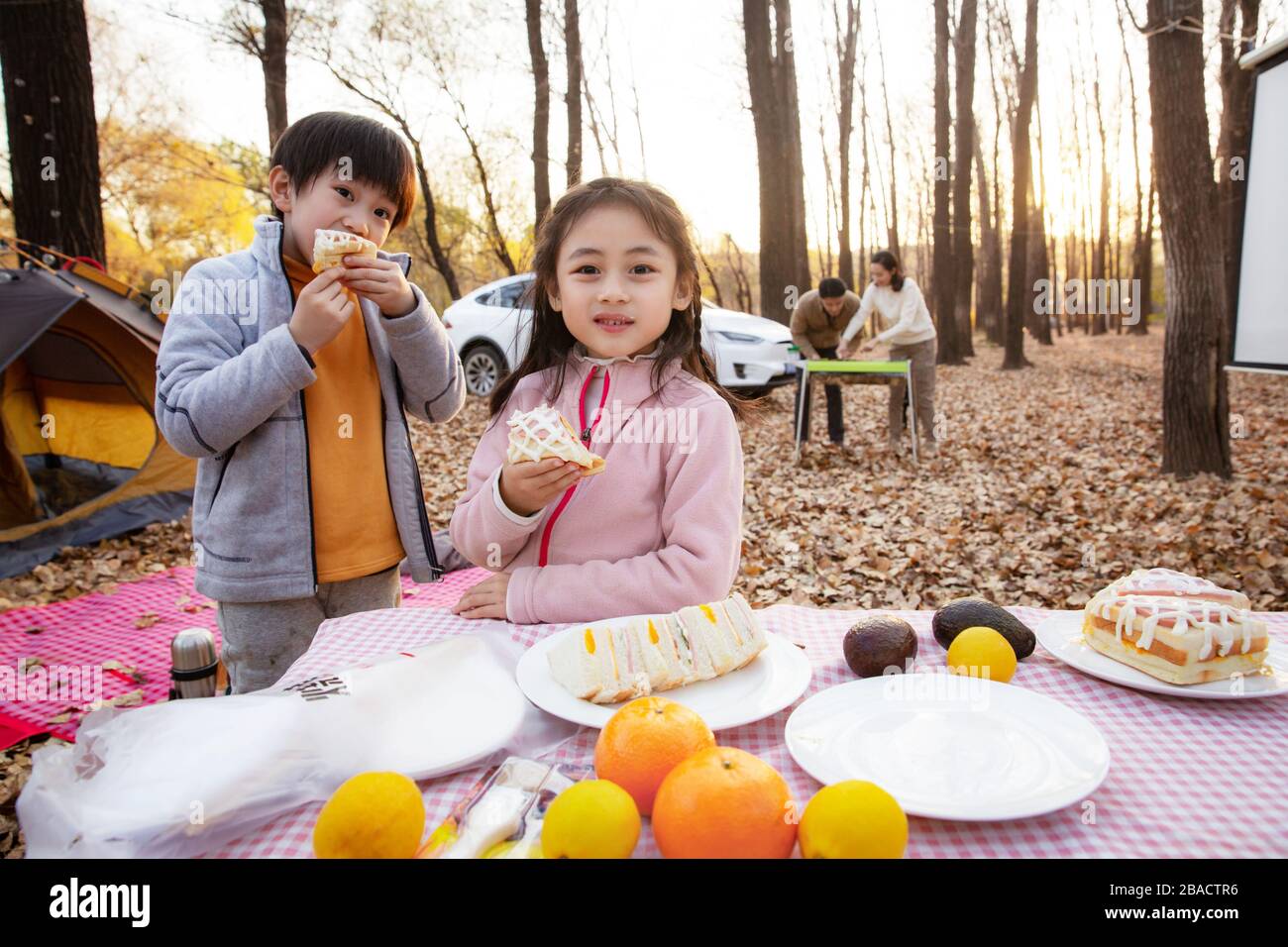 Picnic with family outdoor with tent hi-res stock photography and ...