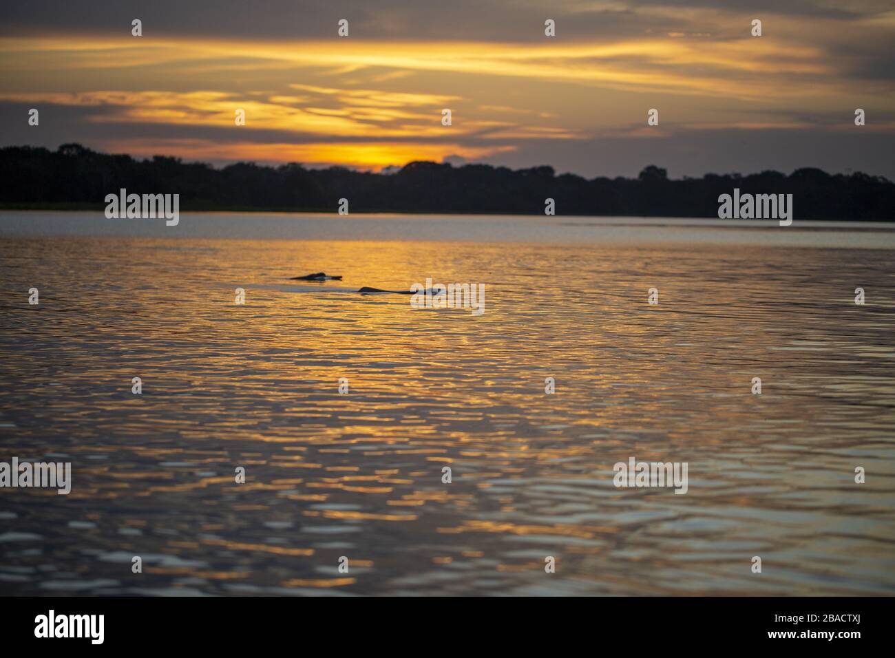 Beautiful scenery of the sunset reflecting on the sea Stock Photo - Alamy