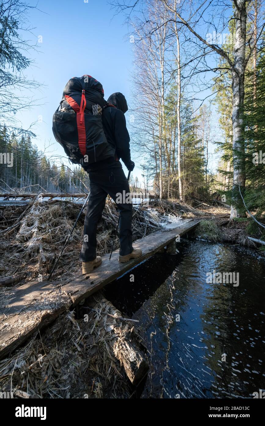 Hiking at Evo hiking area near Hämeenlinna, Finland Stock Photo