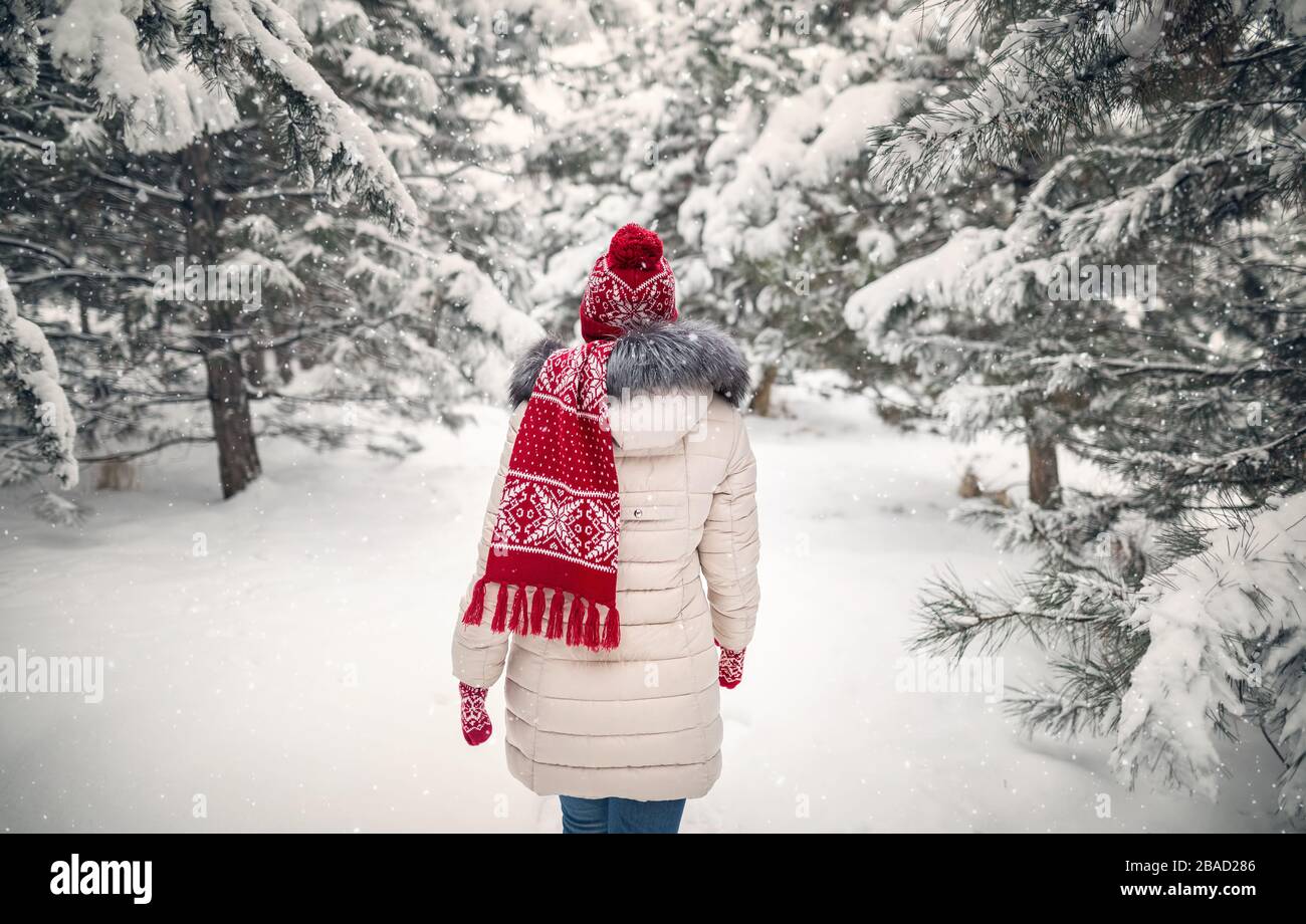 Woman in red scarf and hat walking in the forest at snowfall. Winter season concept. Stock Photo