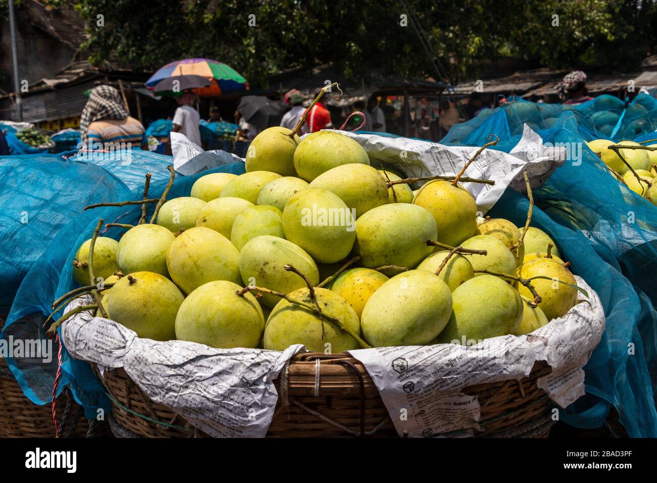 Mango market bangladesh hires stock photography and images Alamy