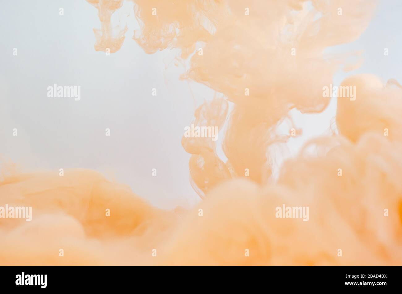 Blurred and focus orange poster color dissolving in water for abstract and backgorund concept. Stock Photo