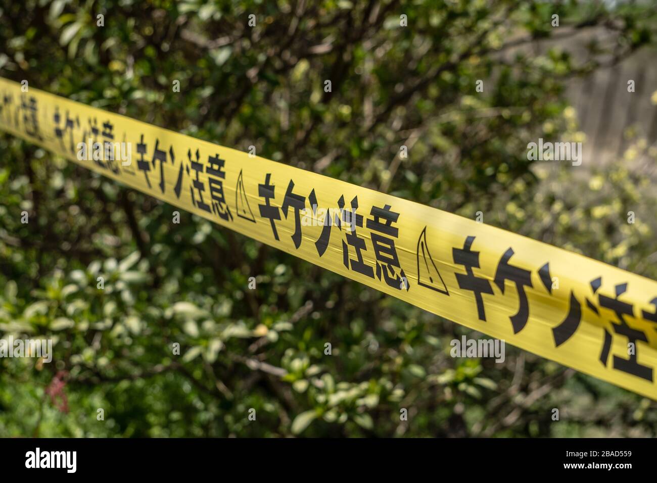 Japanese yellow and black warning tape. Writing on the tape translates as 'warning' or