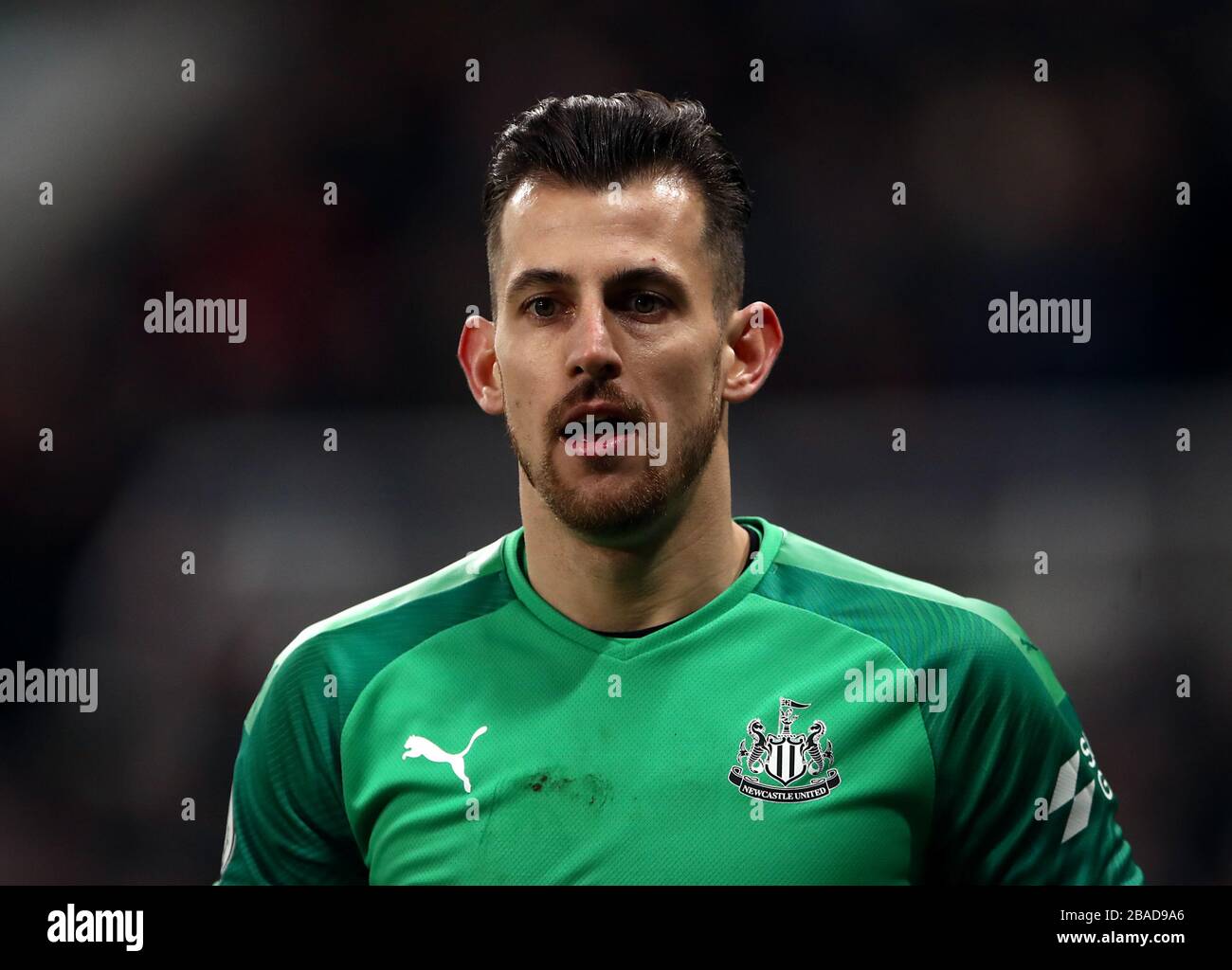 Newcastle United goalkeeper Martin Dubravka Stock Photo Alamy