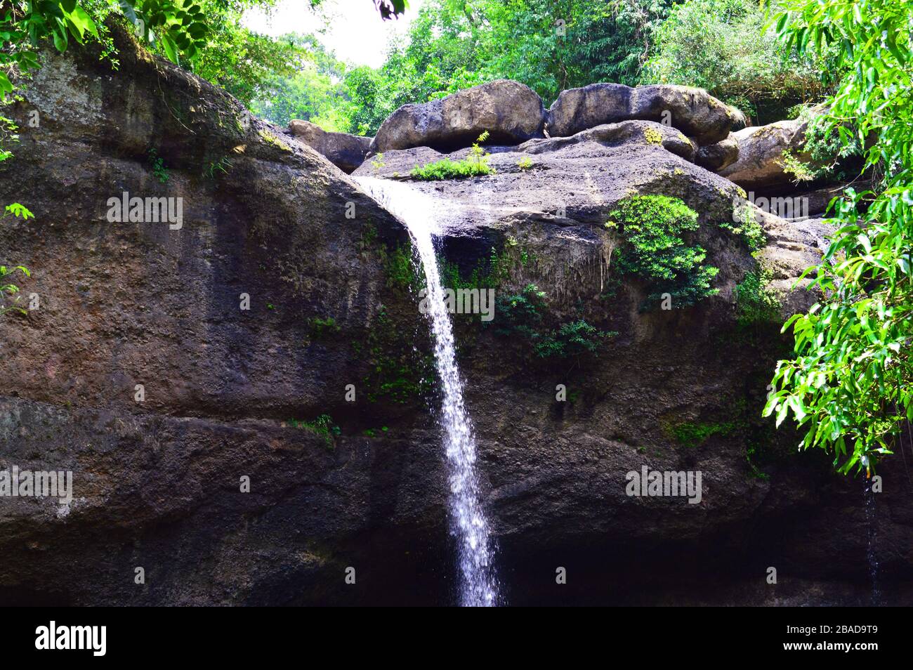 Cascade from high mountain amidst green trees Stock Photo - Alamy