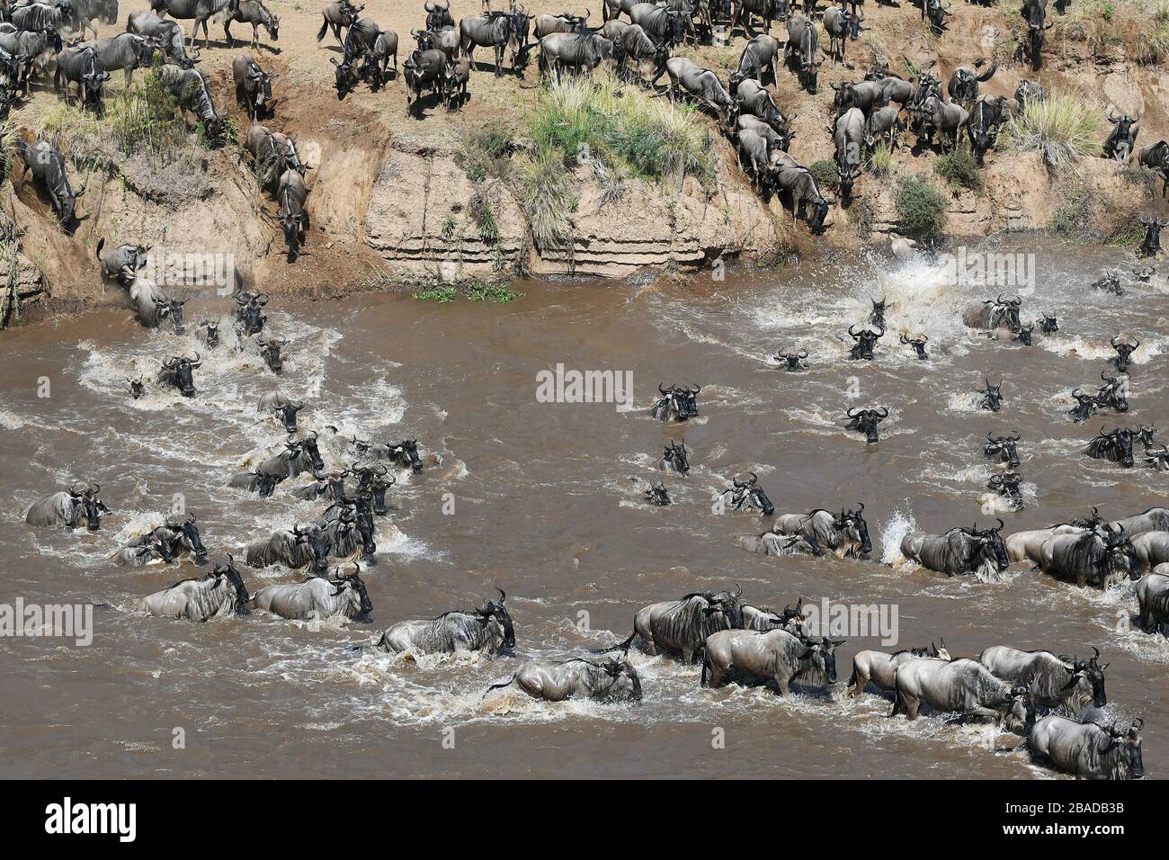 Masai mara national reserve m hi-res stock photography and images - Alamy