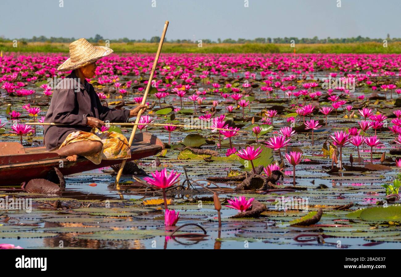 Fishing in Thailand Stock Photo Alamy