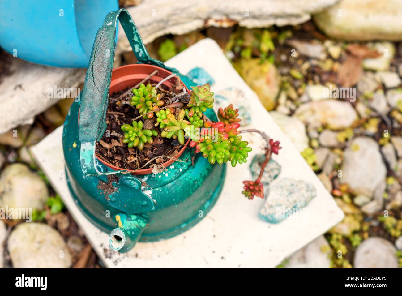 Reused planter ideas. Secondhand kettles, old teapots turn into garden flower pots. Recycled