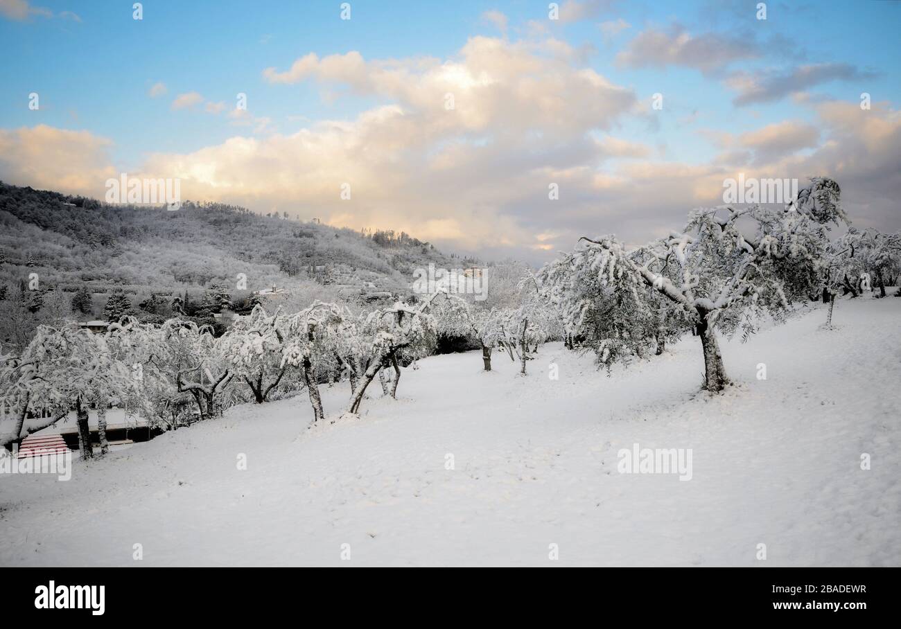 the low altitude snowfall that hit the Arezzo countryside in late March 2020 Stock Photo