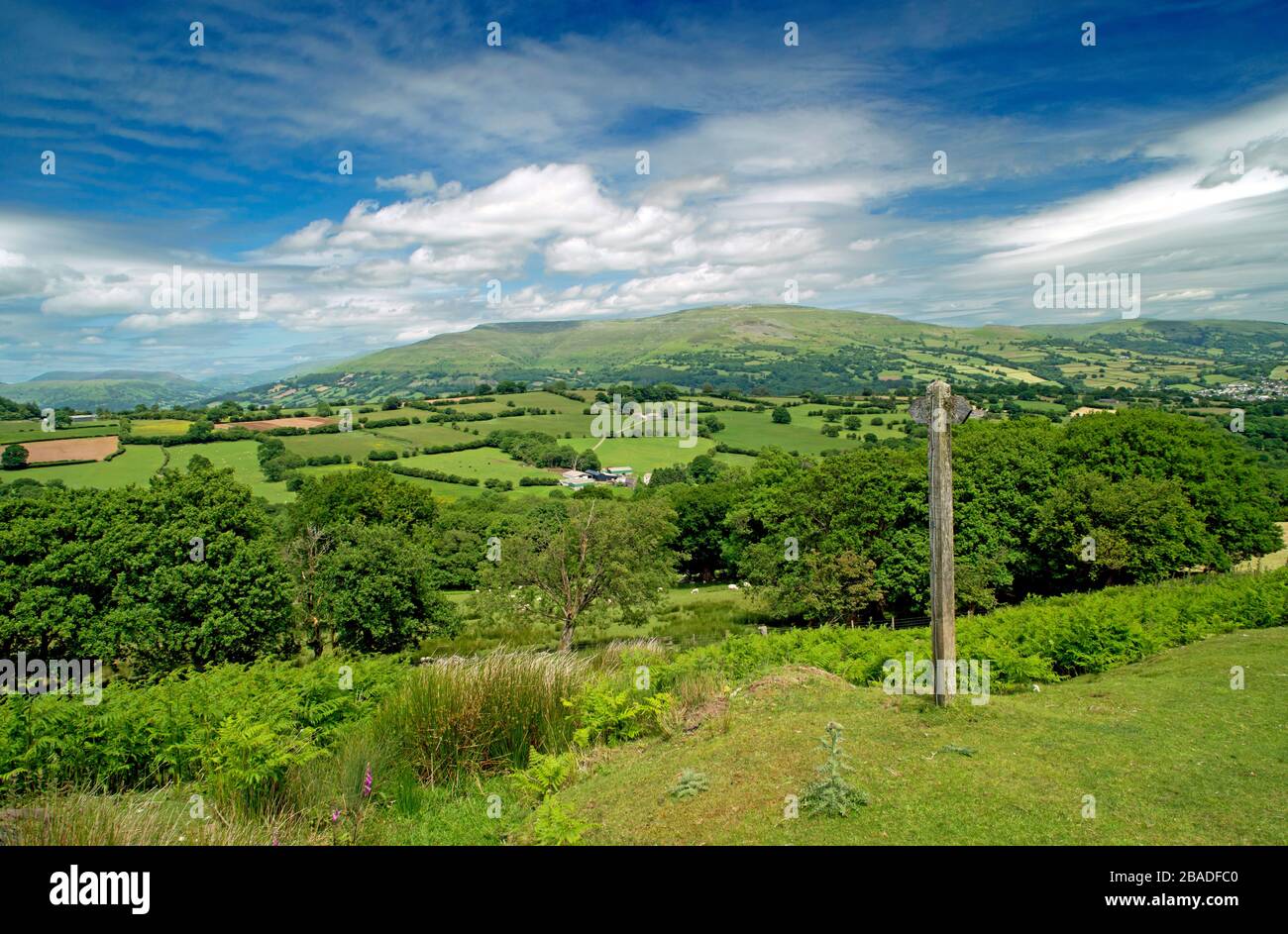 Black mountains wales june hi-res stock photography and images - Alamy