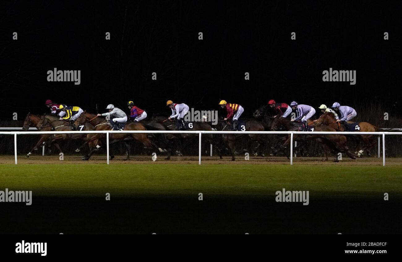 Runners and Riders during the Betway Novice Stakes (Class 5) at Wolverhampton Racecourse. Stock Photo