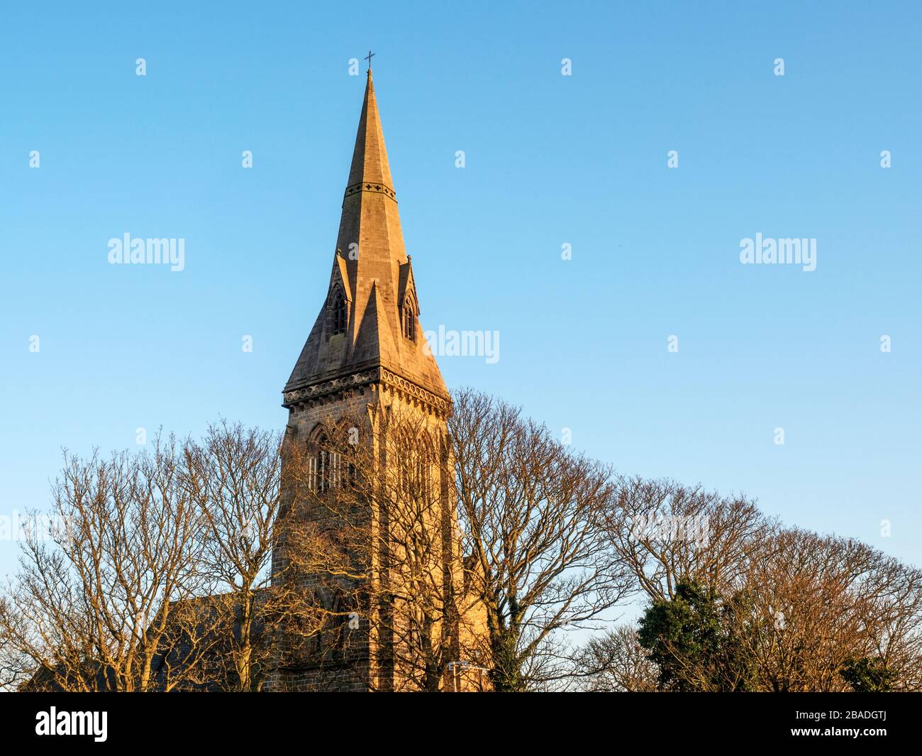 The broach spire of Holy Trinity Church above treetops lit by the setting sun in Knaresborough Yorkshire England Stock Photo