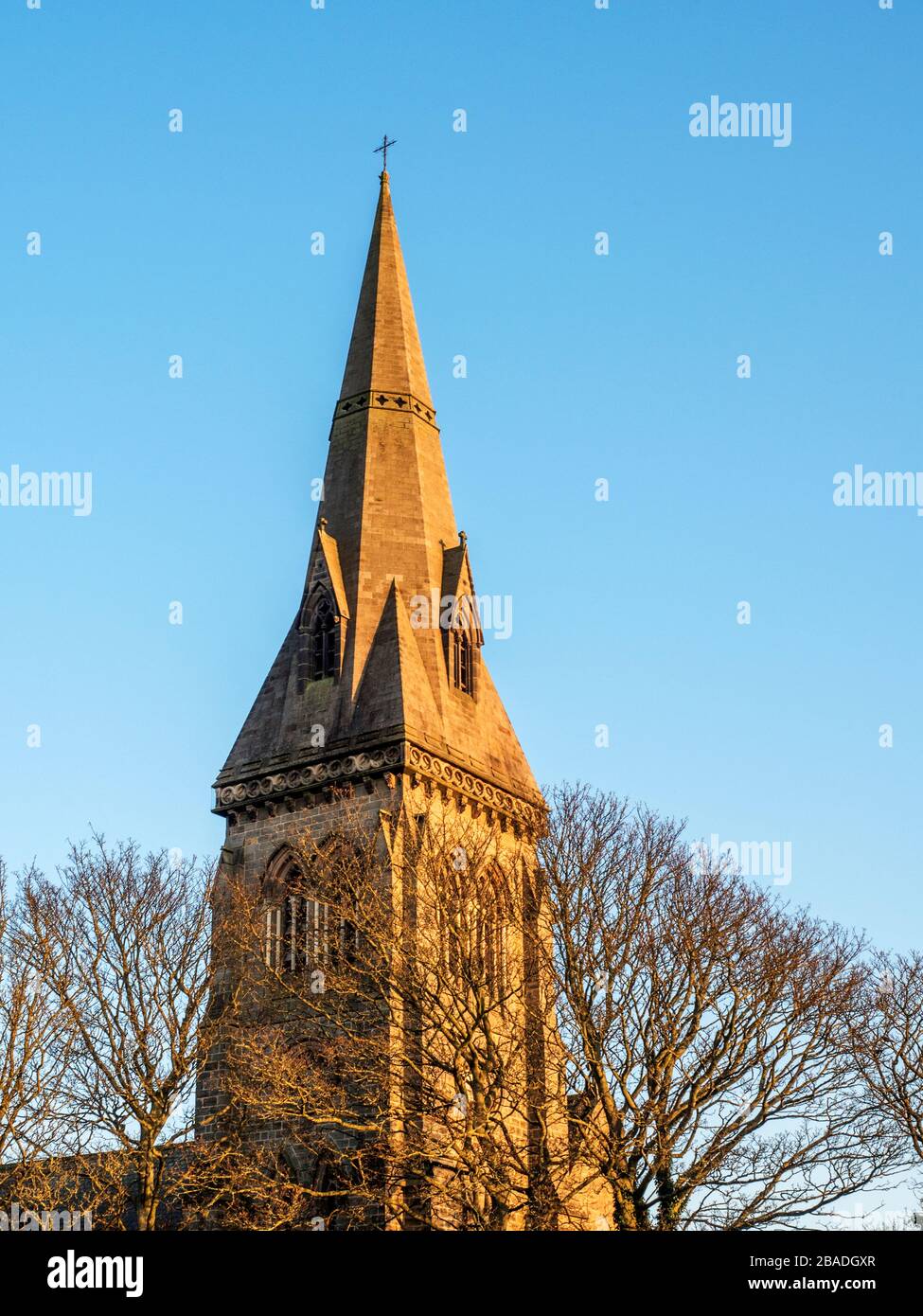 The broach spire of Holy Trinity Church above treetops lit by the setting sun in Knaresborough Yorkshire England Stock Photo