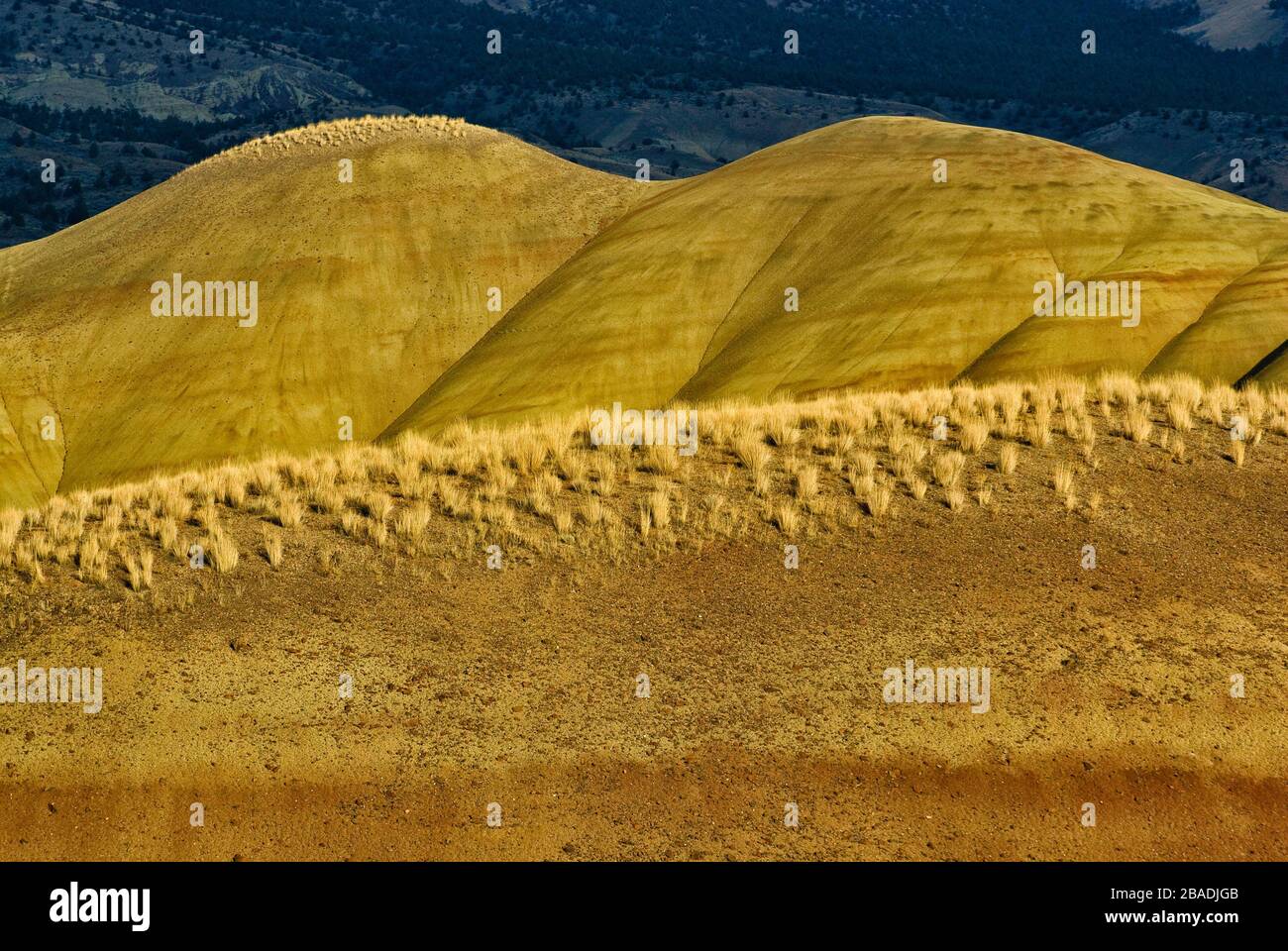 Painted Hills at John Day Fossil Beds National Monument, Painted Hills