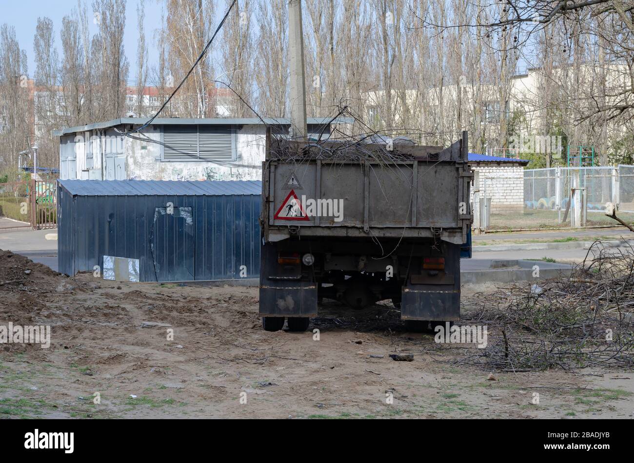 Dump truck with a full body of cut tree branches. Cleaning city streets