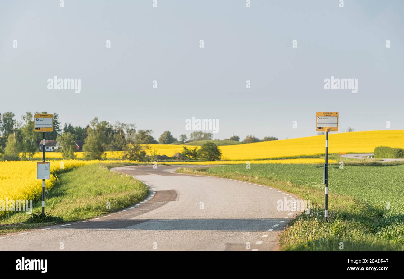 Rural road with two bus stop signs on each side of the road. Skane, Sweden, Scandinavia. Stock Photo