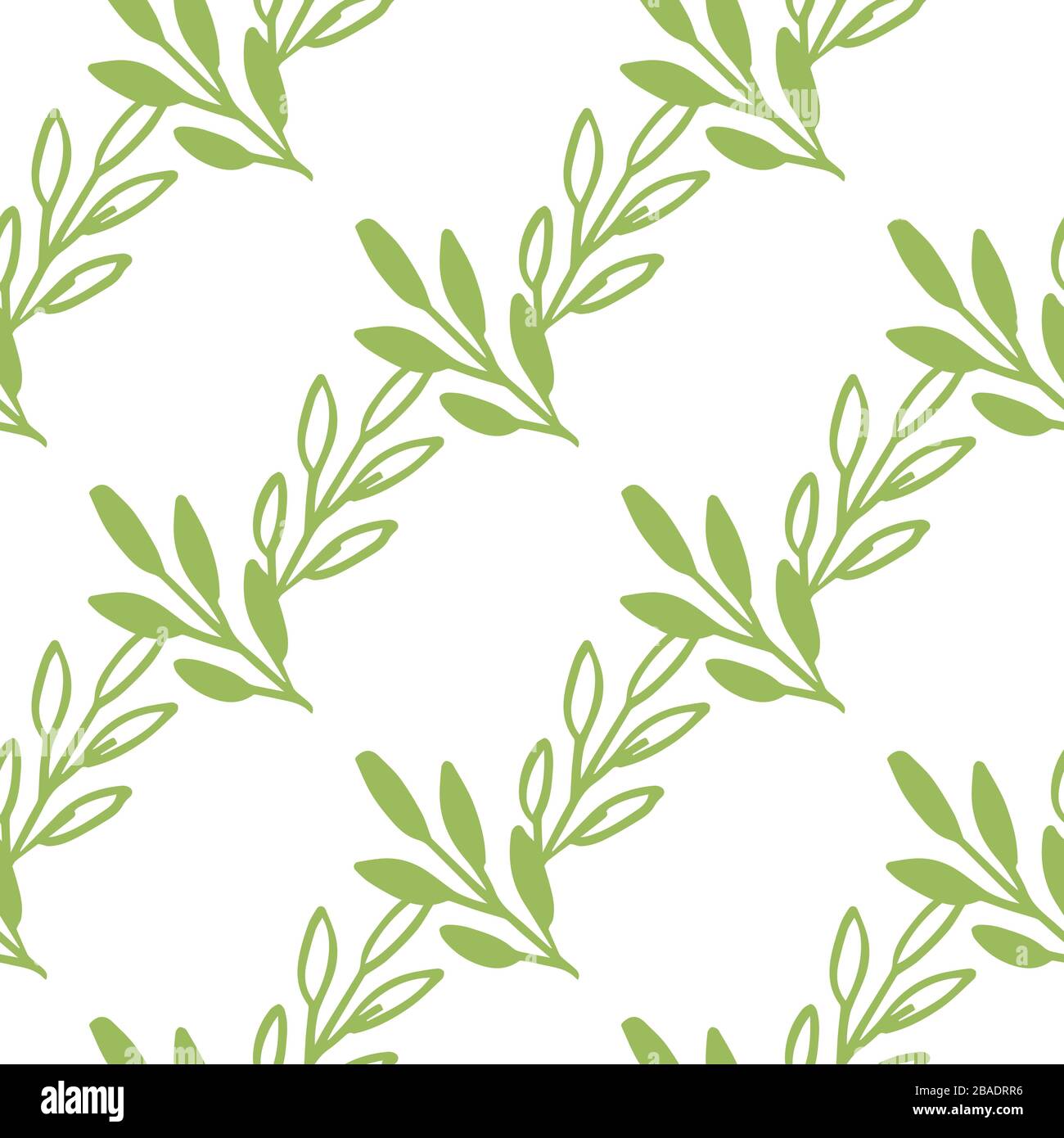 Vector Seamless pattern leaves green white color, Botanical Floral ...