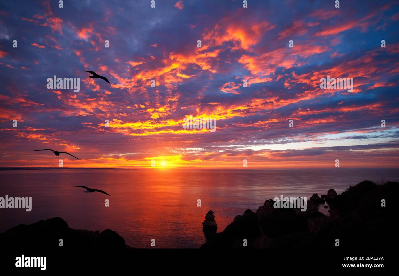 Stunning sunrise over the ocean with beautiful red clouds and silhouettes of birds flying towards the sun Stock Photo