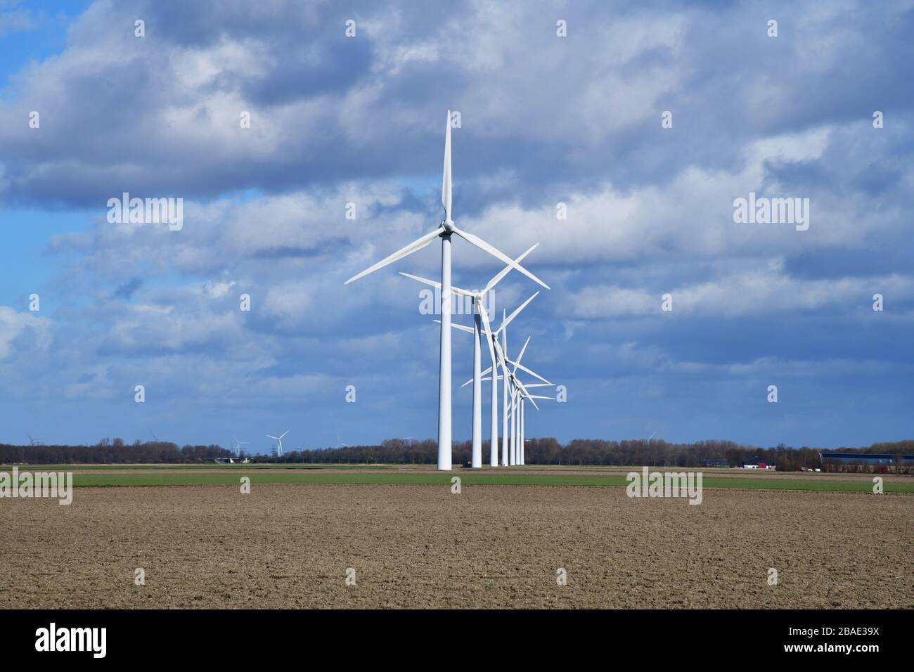 Line of modern windmills in typical Dutch agricultural landscape Stock Photo