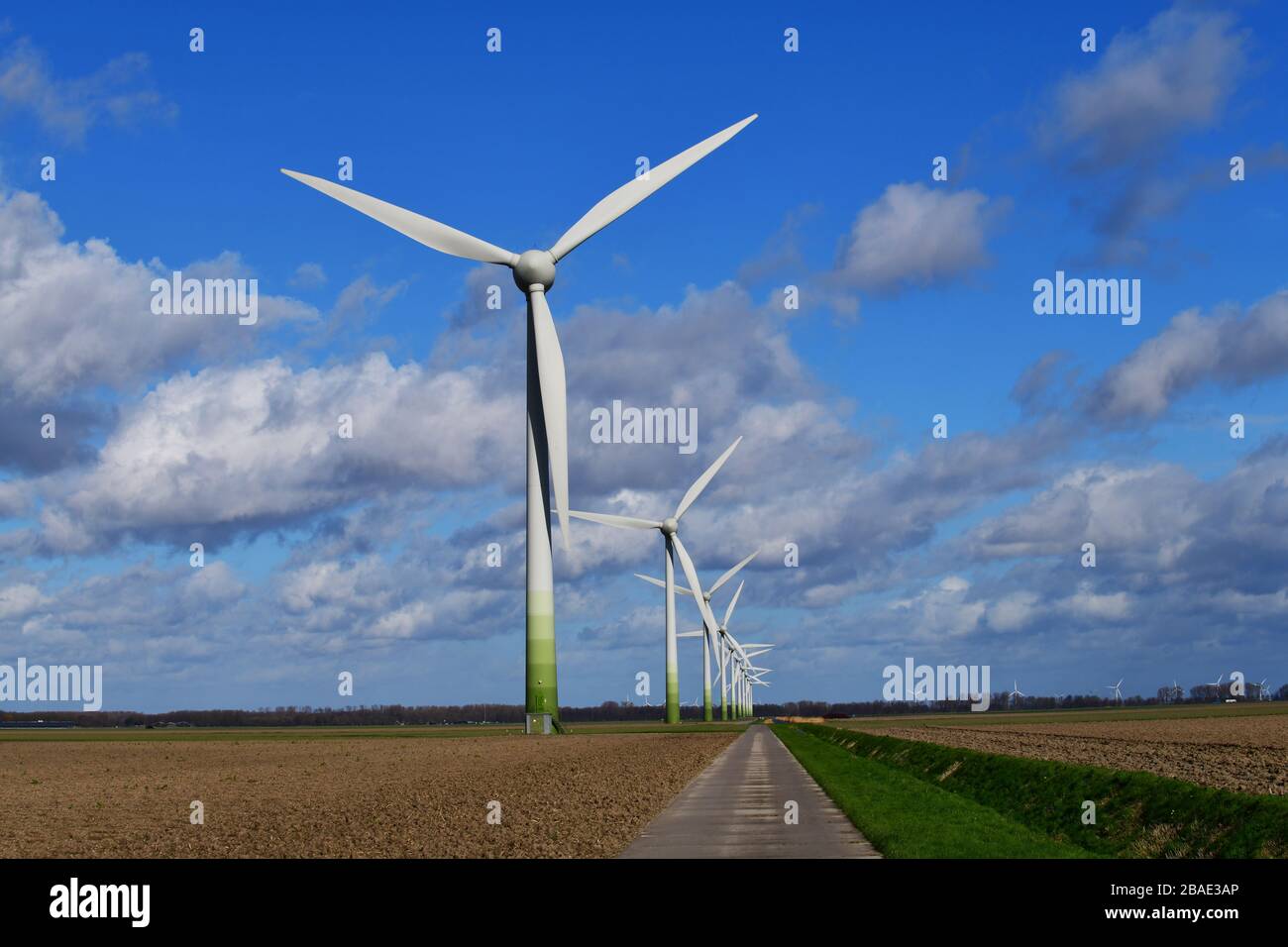 Flevoland, The Netherlands-February 2020; Line of modern windmills in typical Dutch agricultural landscape Stock Photo