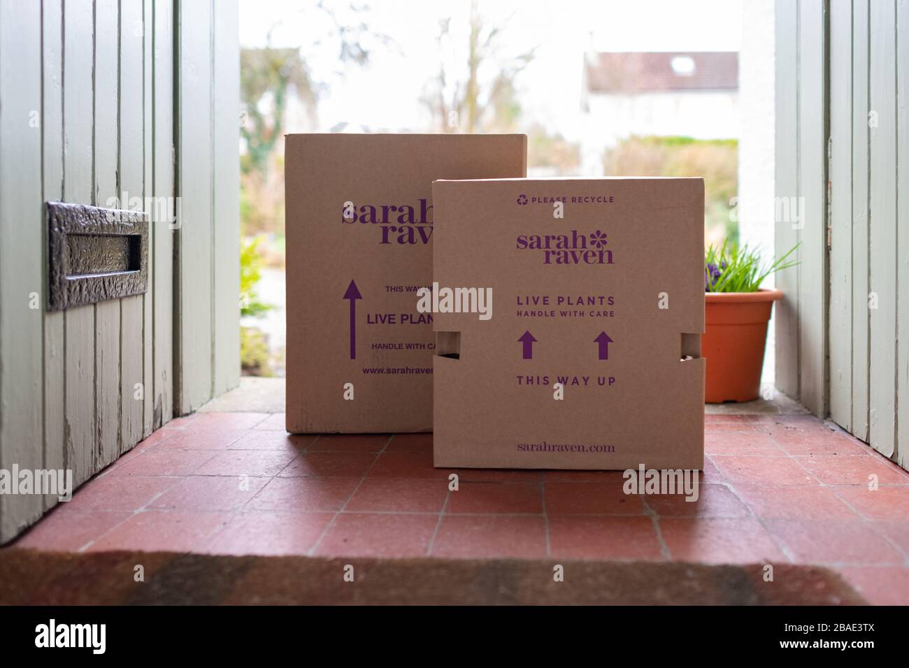 Mail order gardening during the coronavirus outbreak - Sarah Raven parcels on doorstep - UK Stock Photo