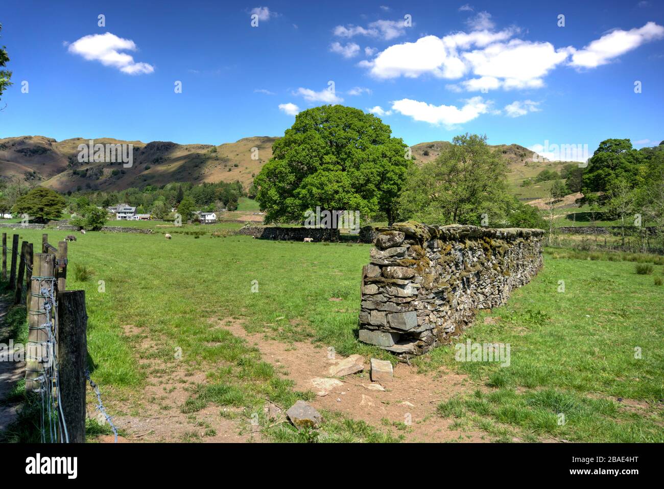 Old English drystone wall with integrated steps with fields, trees and