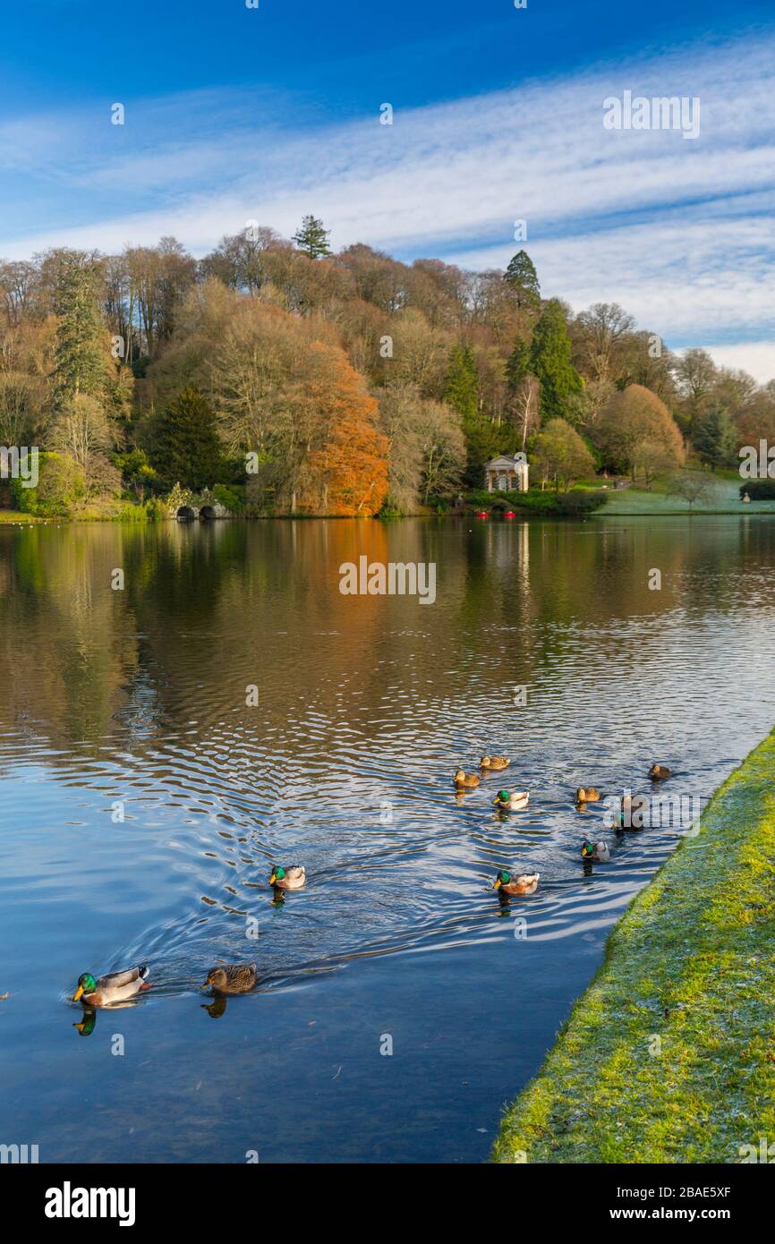 Brilliant winter sunshine lights up some of the trees surrounding the lake at Stourhead Gardens, Wiltshire, England, UK Stock Photo