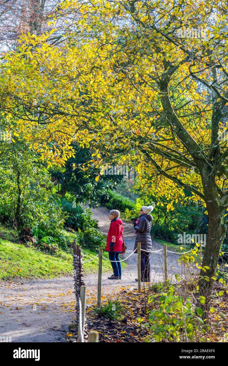 Visitors enjoying walking through the brilliant autumn colours that surround the lake in Stourhead Gardens, Wiltshire, England, UK Stock Photo