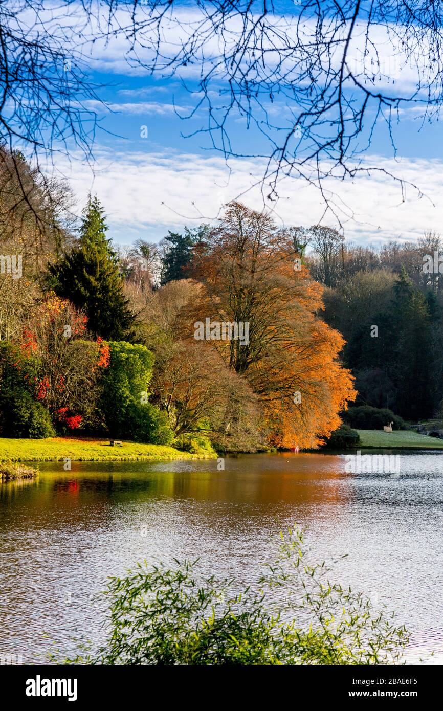 Brilliant winter sunshine lights up some of the trees surrounding the lake at Stourhead Gardens, Wiltshire, England, UK Stock Photo