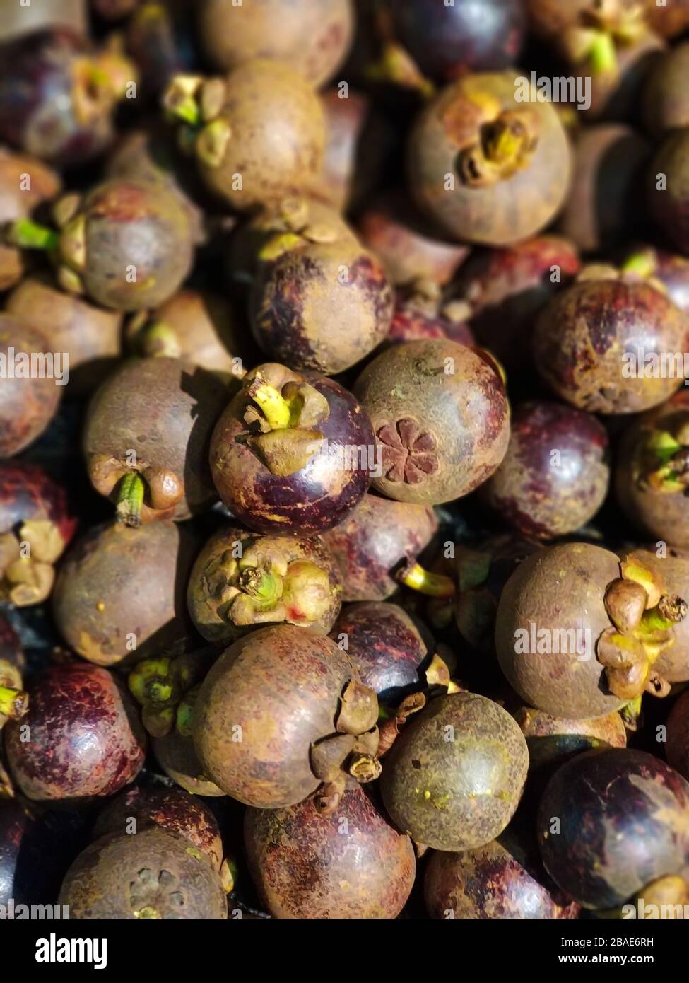 Many Fruits Mangosteen at the Grocery Store Stock Photo Alamy