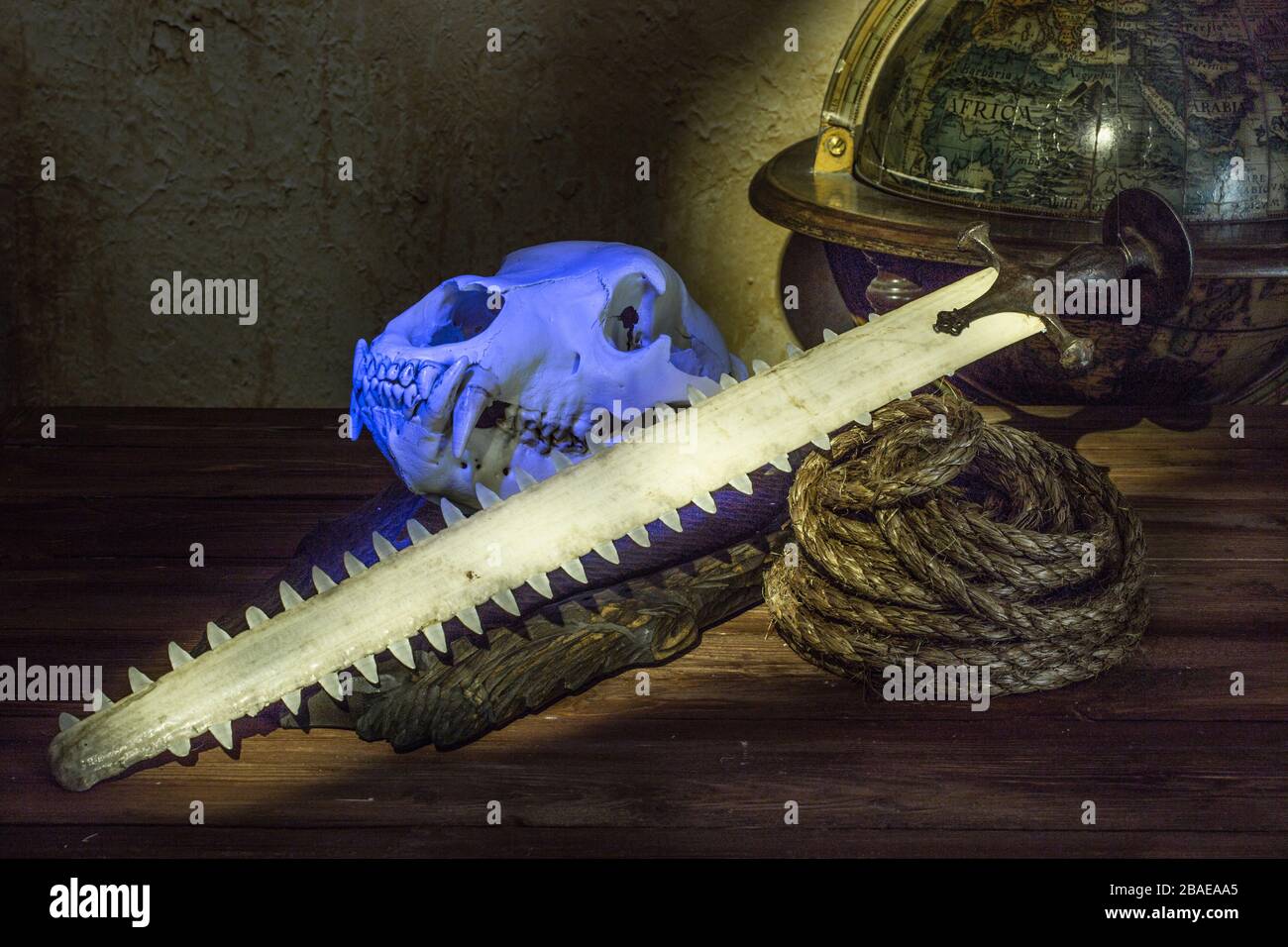 Stlll life of the 19th century sea voyage with old indian talvar (sabre), rope, globe and bear's skull. Stock Photo